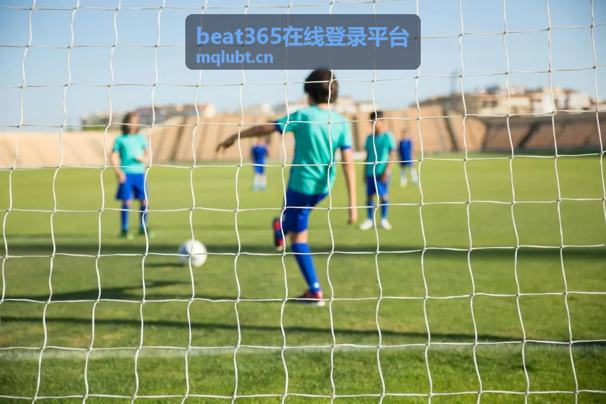 beat365在线登录平台 功能区域操作顺序说明